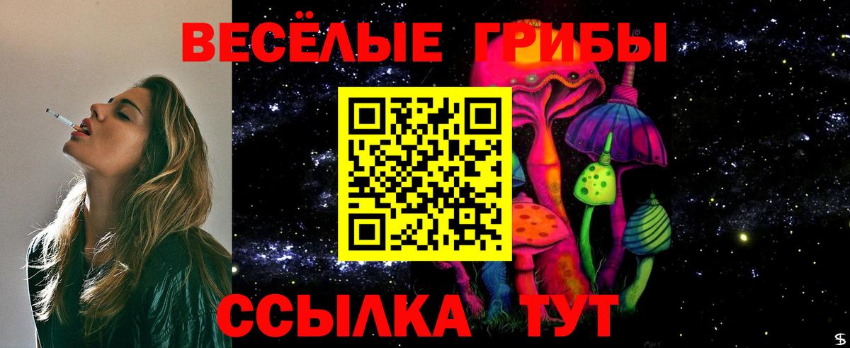 Галлюциногенные грибы MAGIC MUSHROOMS  Вход с VPN  Братск 
